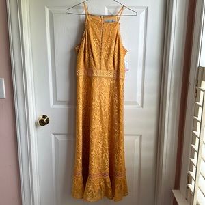 NWT Antonio Melani Heinrich dress